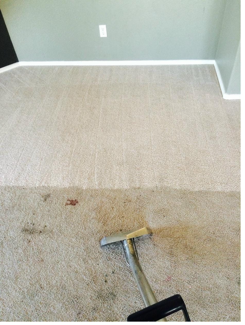 Carpet stain removal, before and after