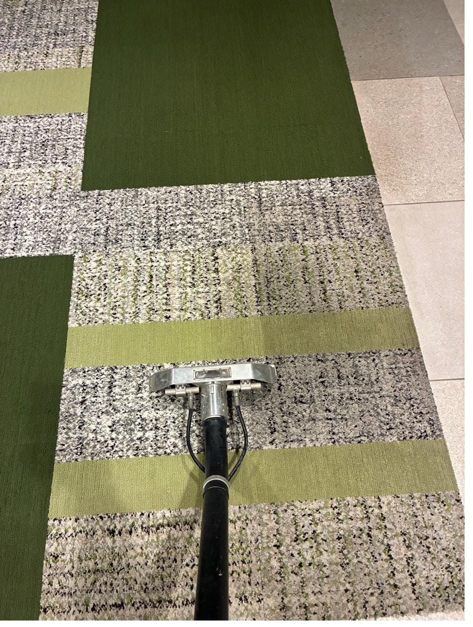 Carpet stain being extracted during cleaning